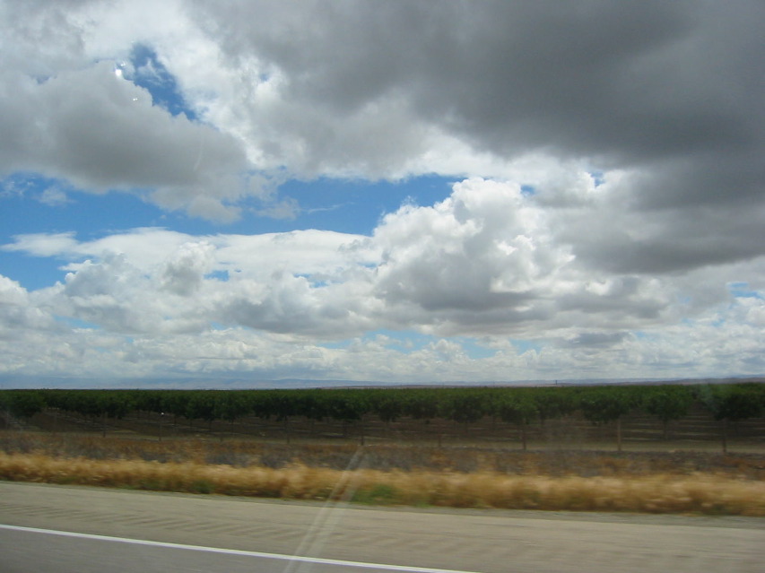 On the 5, in between rainshowers.