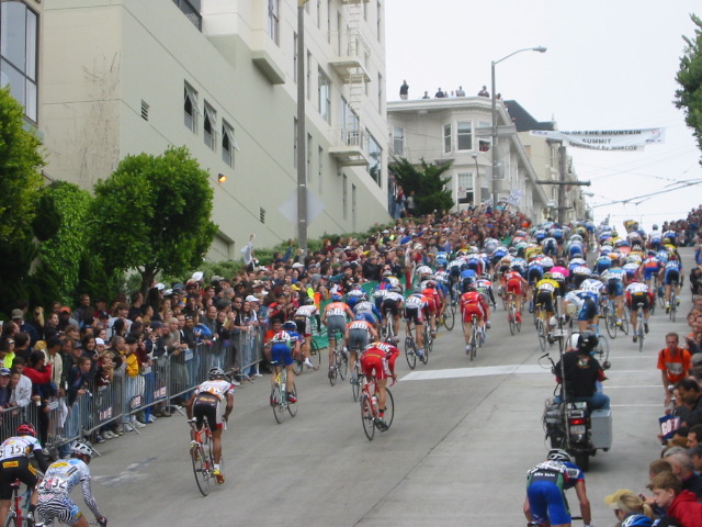 The pack, with Zebra Boy towards the back.