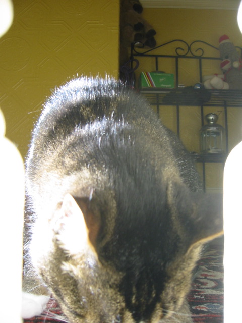 Who came sliding down the bannister?